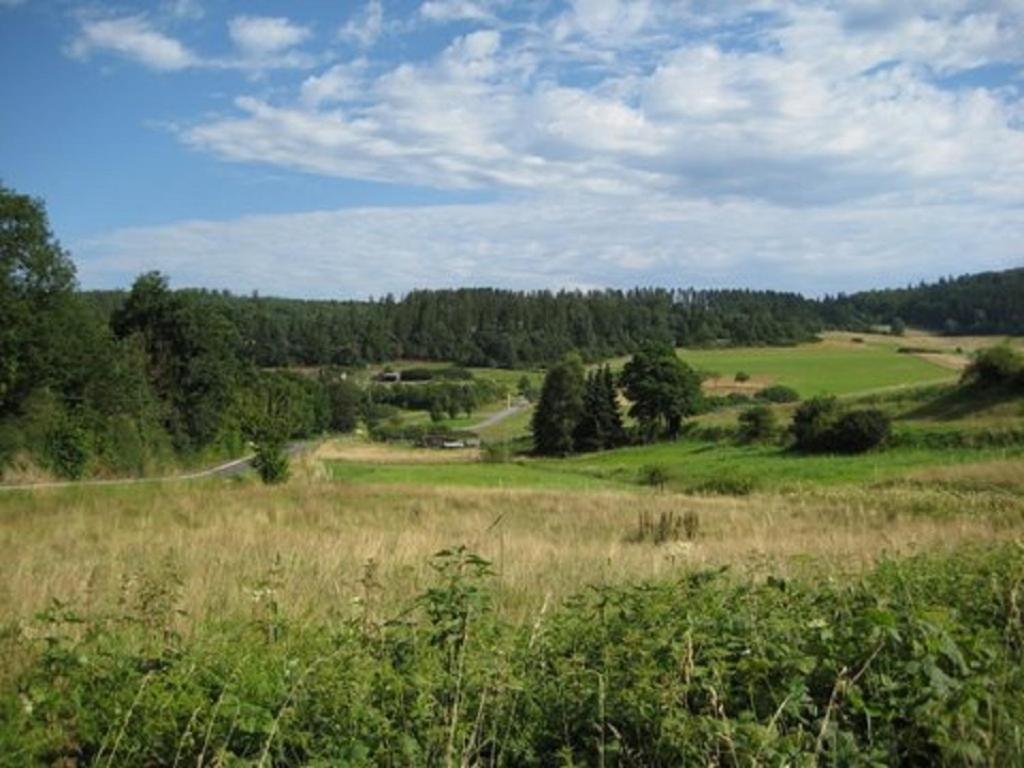 Am Sternberg 211 Hotell Frankenau Exteriör bild